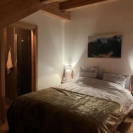 Le Yeti De 14 Prs - Domaine Alpe D'huez - Bain Nordique