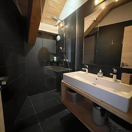 Chalet Le Yeti De 14 Prs - Domaine Alpe D'huez - Bain Nordique Villard-Reculas